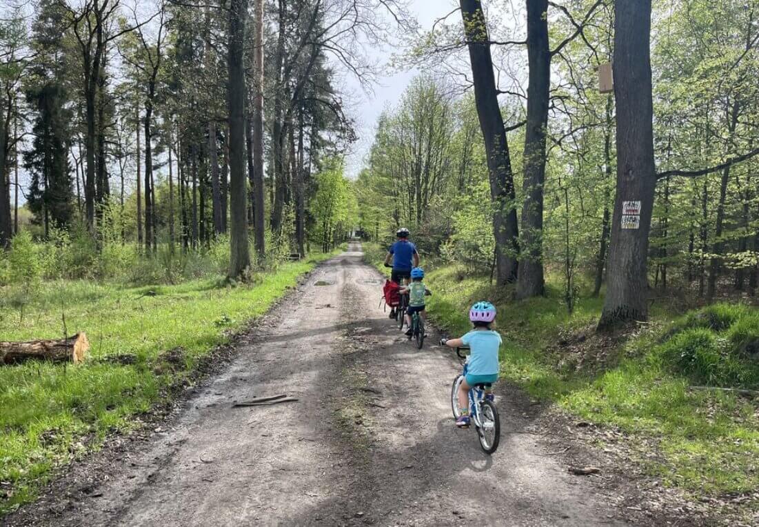 Rowery Enduro Trails